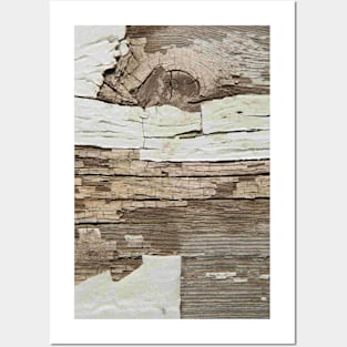 Shabby rustic weathered wood Posters and Art